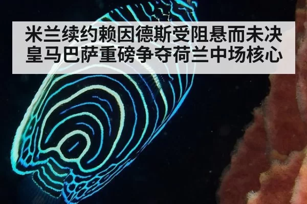 米兰续约赖因德斯受阻悬而未决 皇马巴萨重磅争夺荷兰中场核心